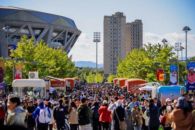 年同期的 年同期的