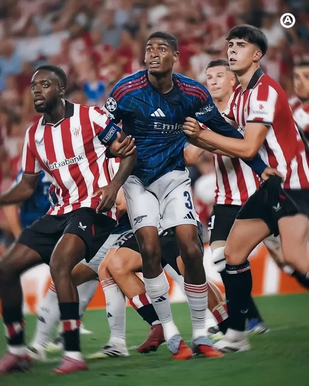 tenan, 定光明, msn