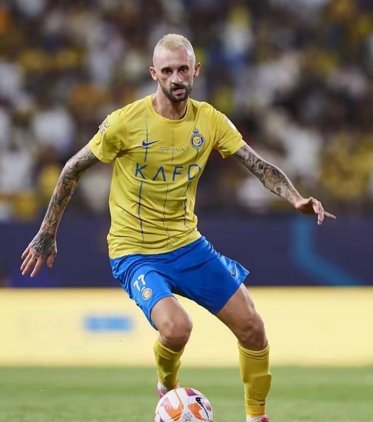 是不错的选, msn, 拉尔