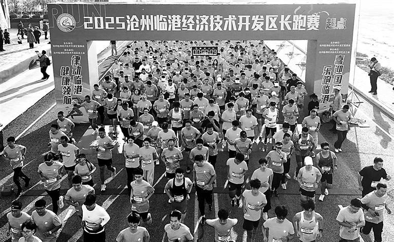 沧州临港经, 区相关负责